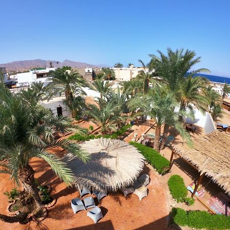 Hotel Miramar Camp Dahab Zewnętrze zdjęcie