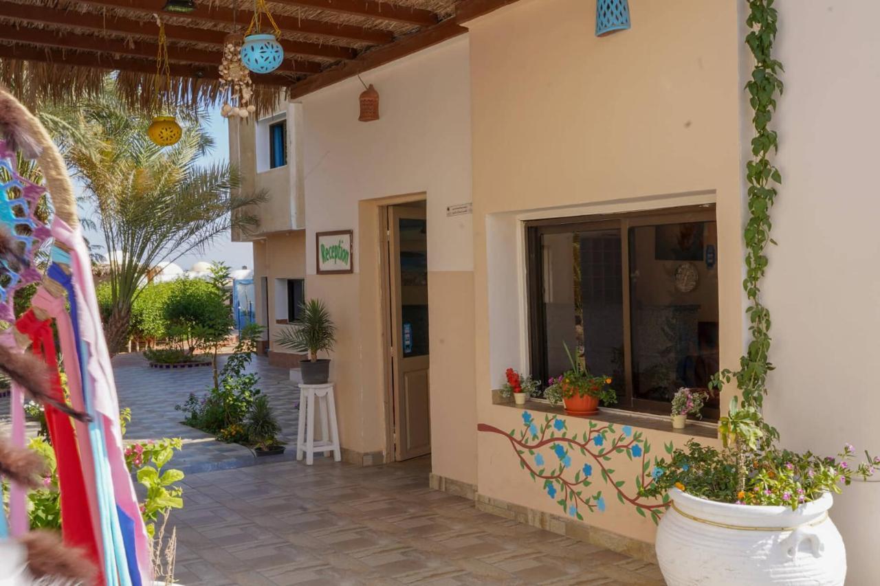 Hotel Miramar Camp Dahab Zewnętrze zdjęcie