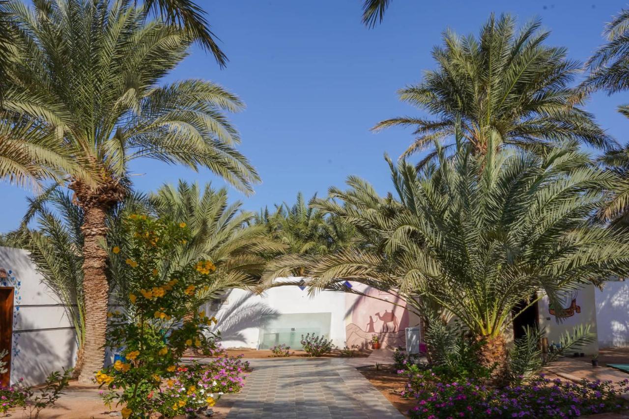 Hotel Miramar Camp Dahab Zewnętrze zdjęcie