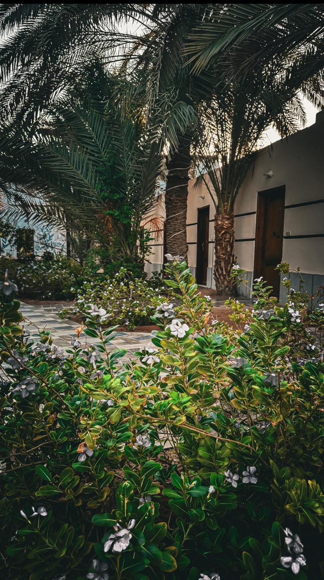 Hotel Miramar Camp Dahab Zewnętrze zdjęcie