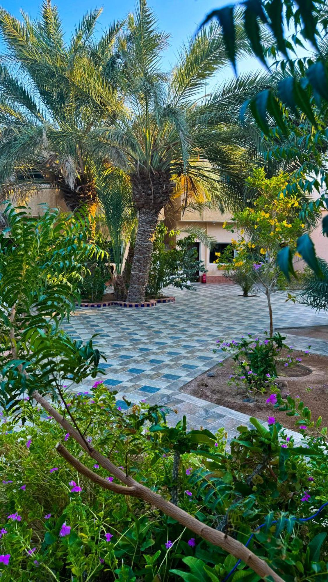 Hotel Miramar Camp Dahab Zewnętrze zdjęcie