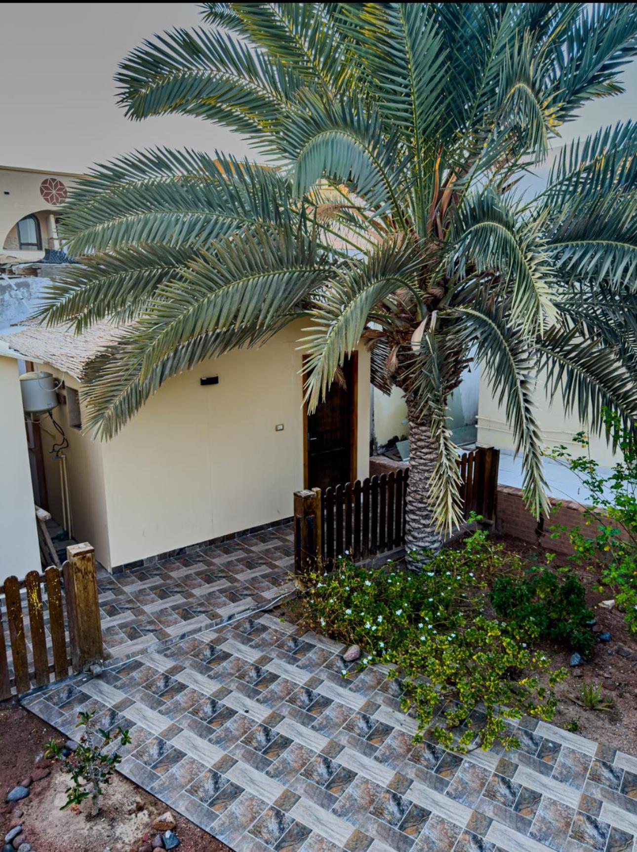 Hotel Miramar Camp Dahab Zewnętrze zdjęcie