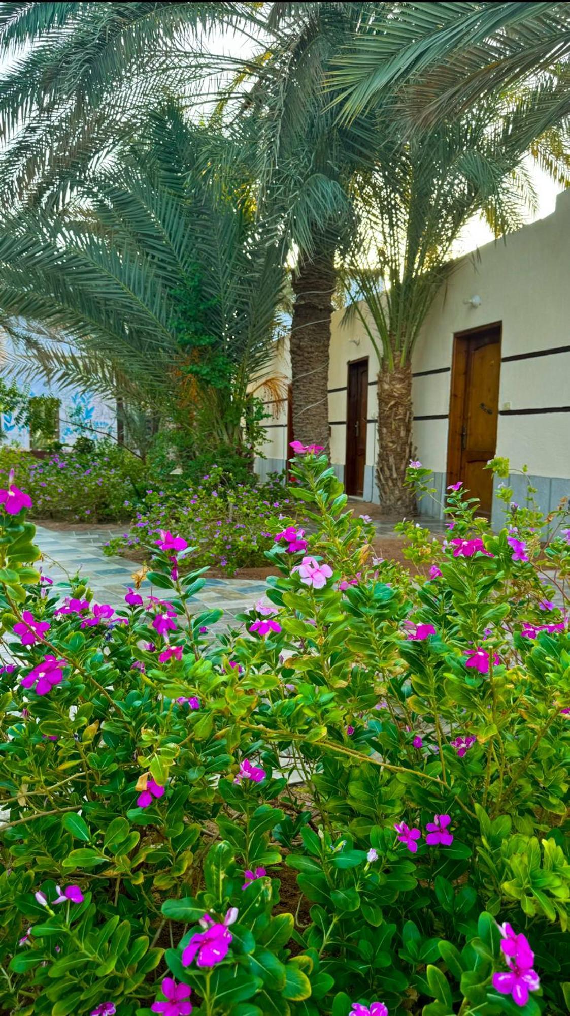 Hotel Miramar Camp Dahab Zewnętrze zdjęcie