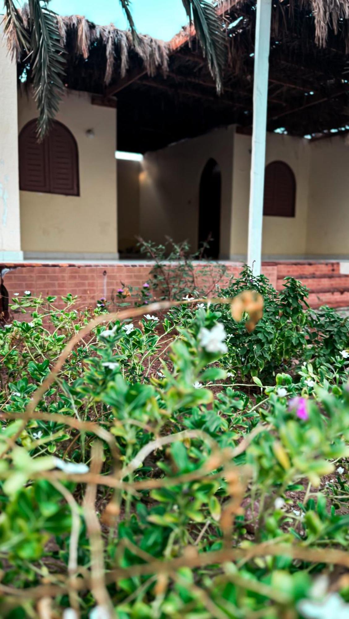 Hotel Miramar Camp Dahab Zewnętrze zdjęcie