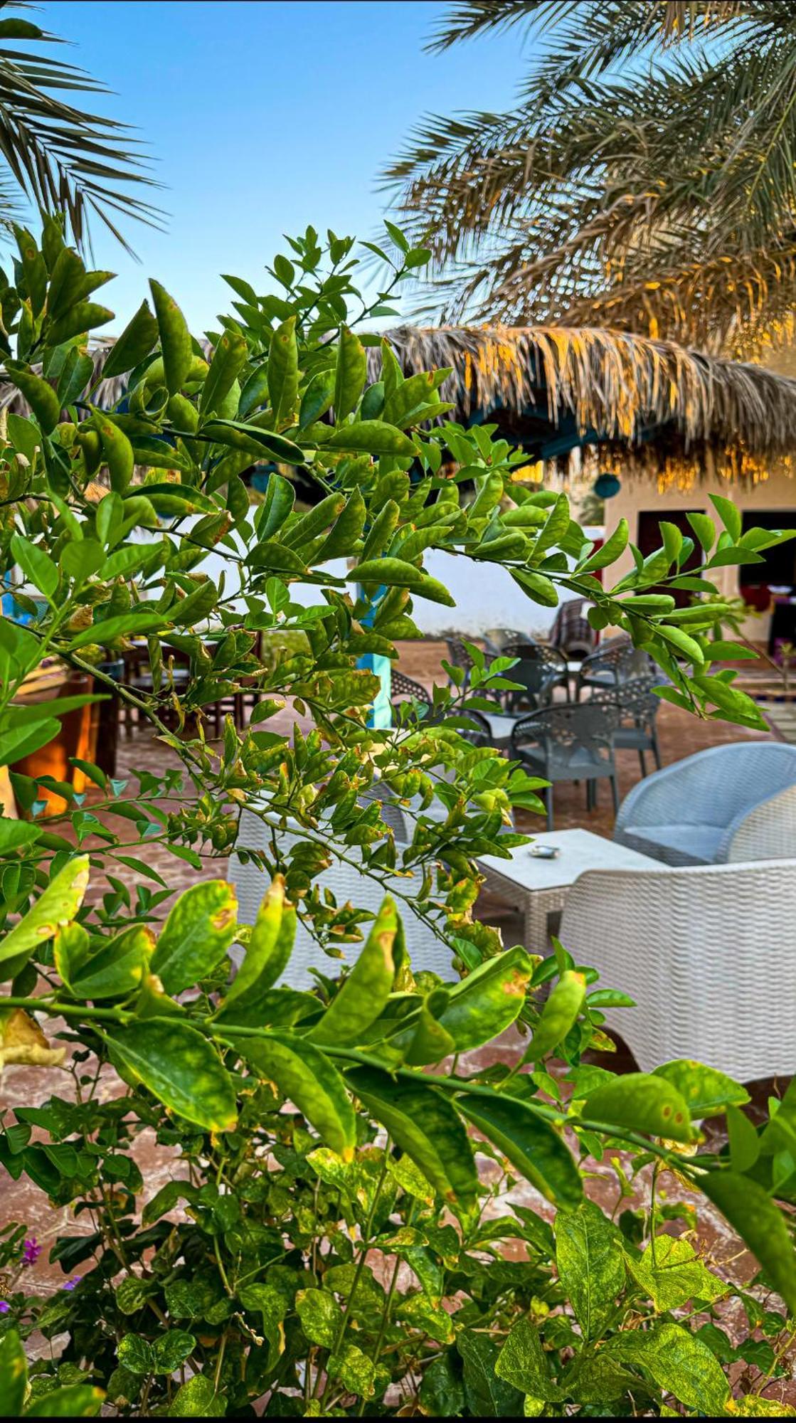 Hotel Miramar Camp Dahab Zewnętrze zdjęcie