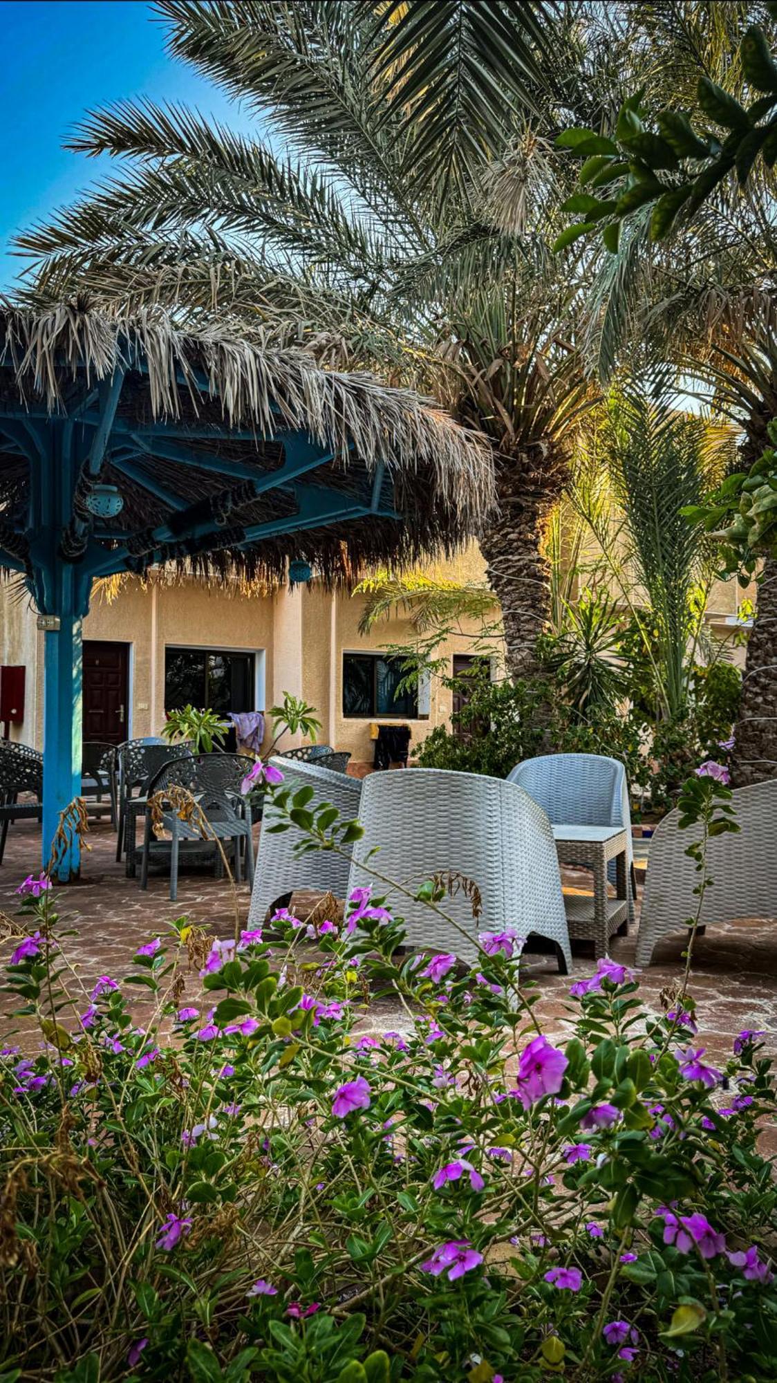 Hotel Miramar Camp Dahab Zewnętrze zdjęcie