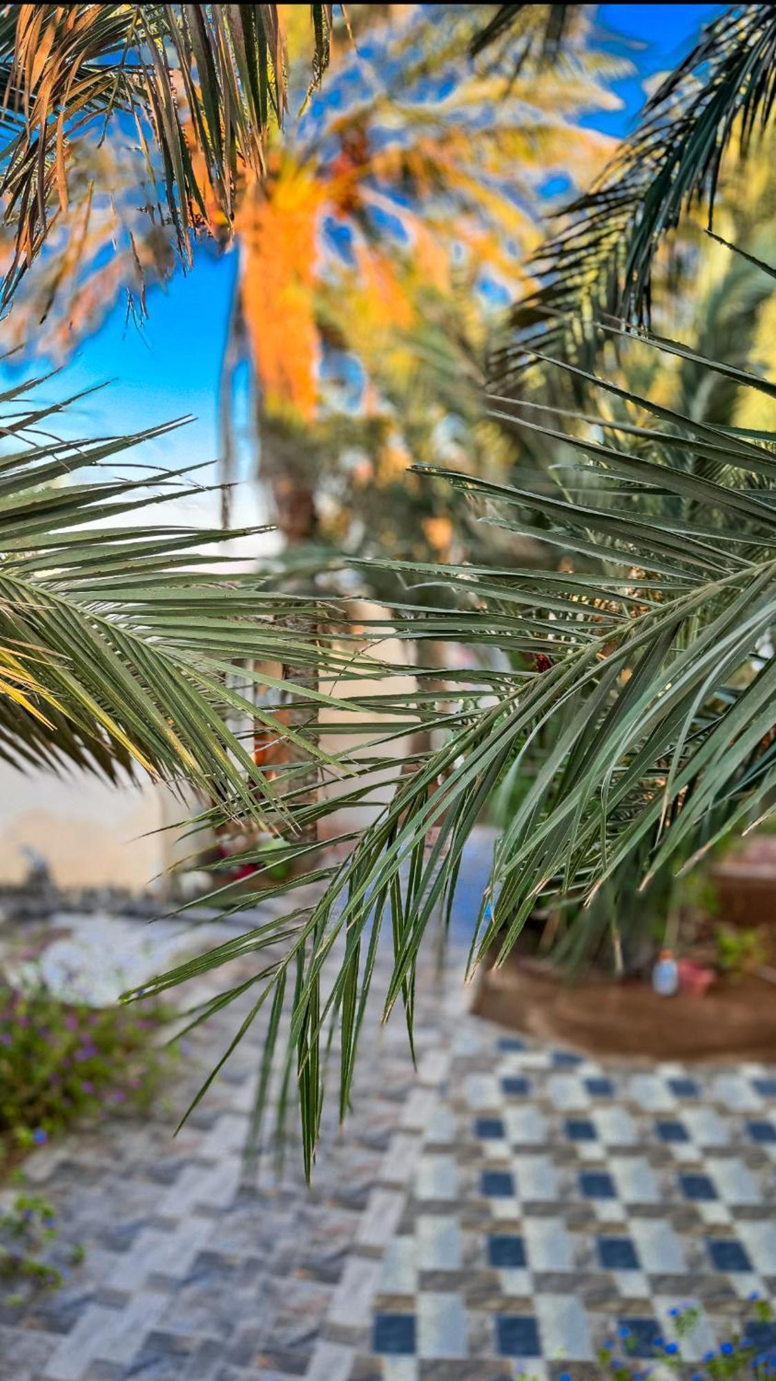 Hotel Miramar Camp Dahab Zewnętrze zdjęcie