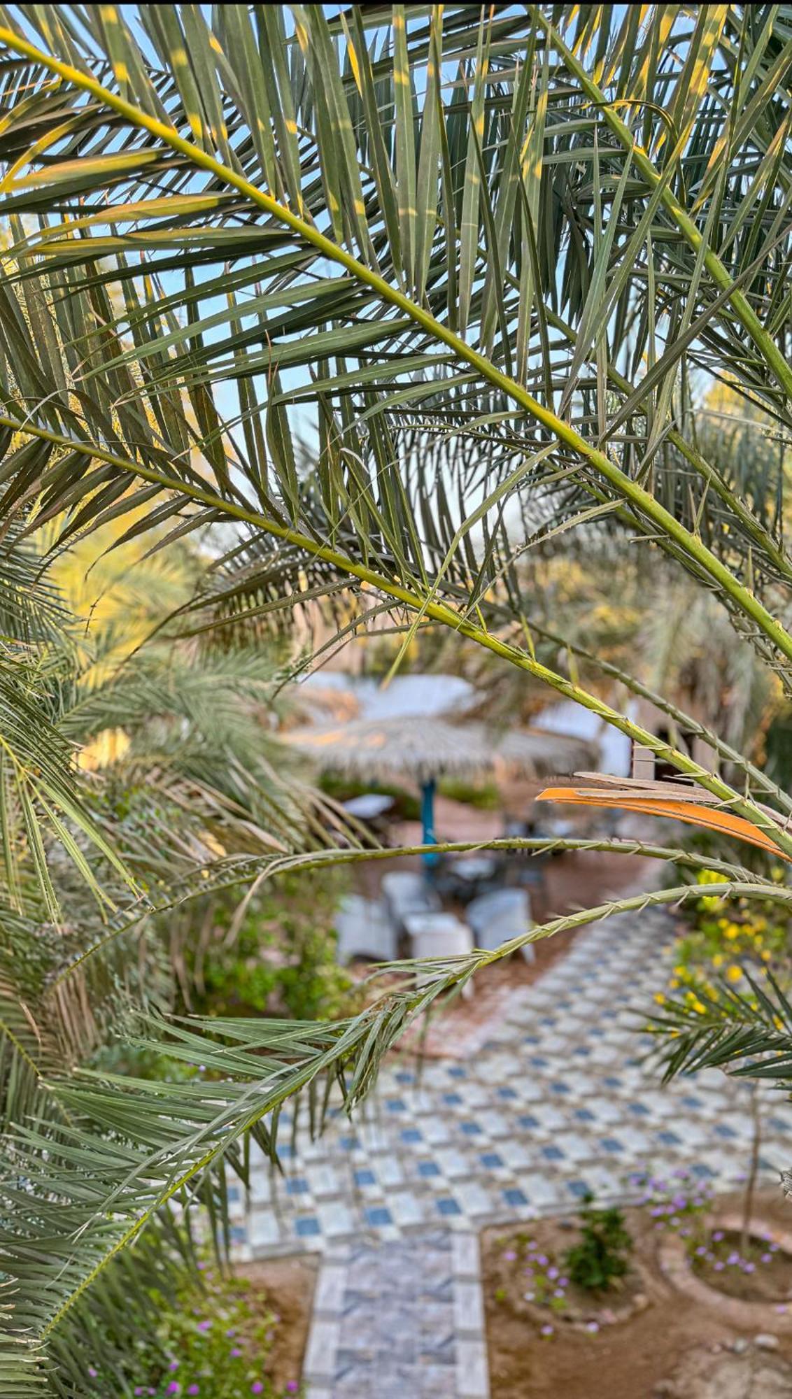 Hotel Miramar Camp Dahab Zewnętrze zdjęcie