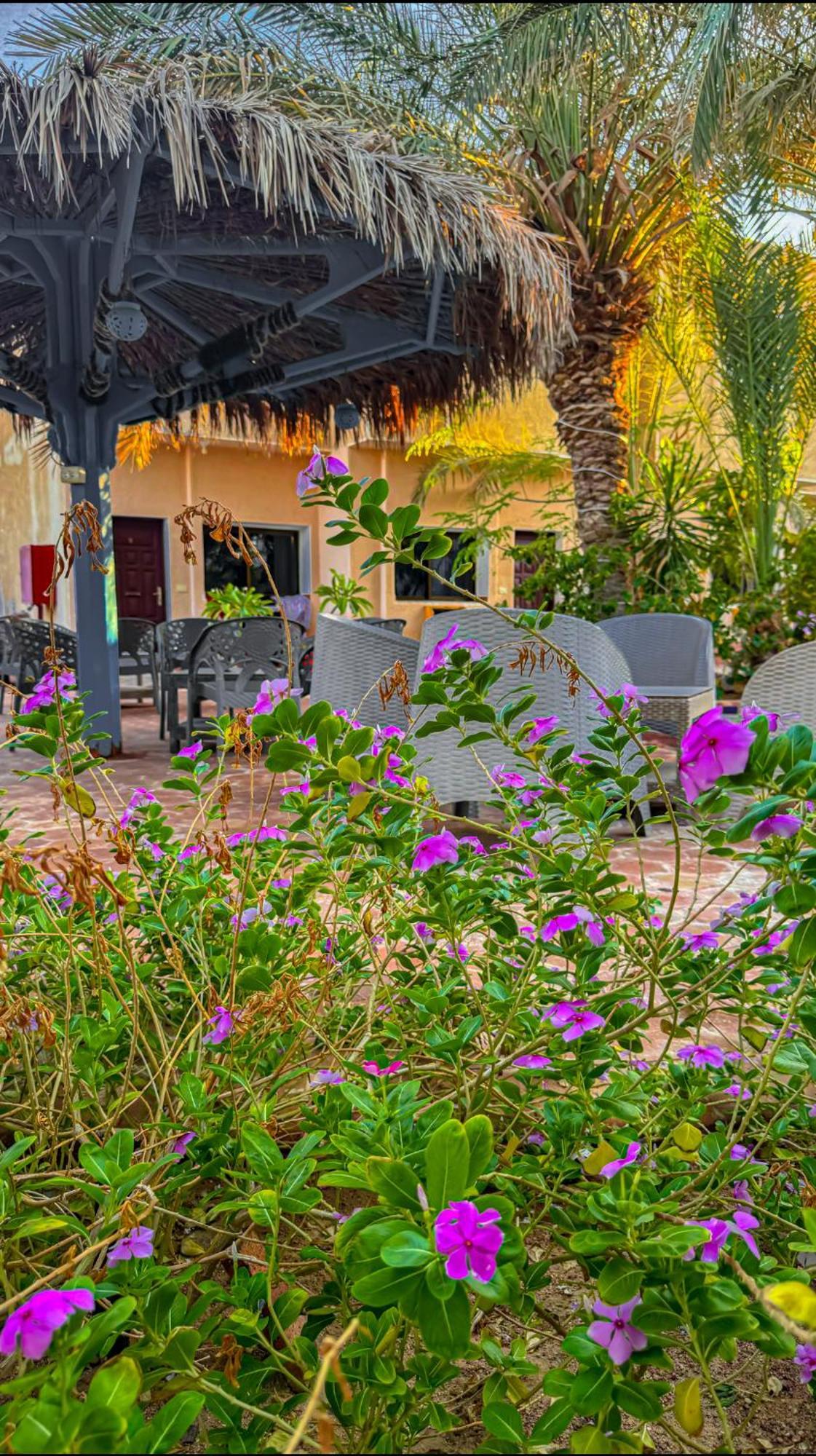 Hotel Miramar Camp Dahab Zewnętrze zdjęcie
