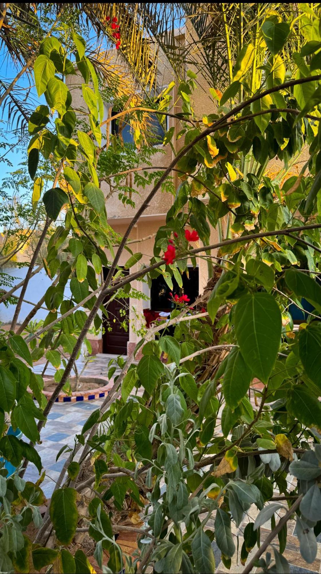 Hotel Miramar Camp Dahab Zewnętrze zdjęcie