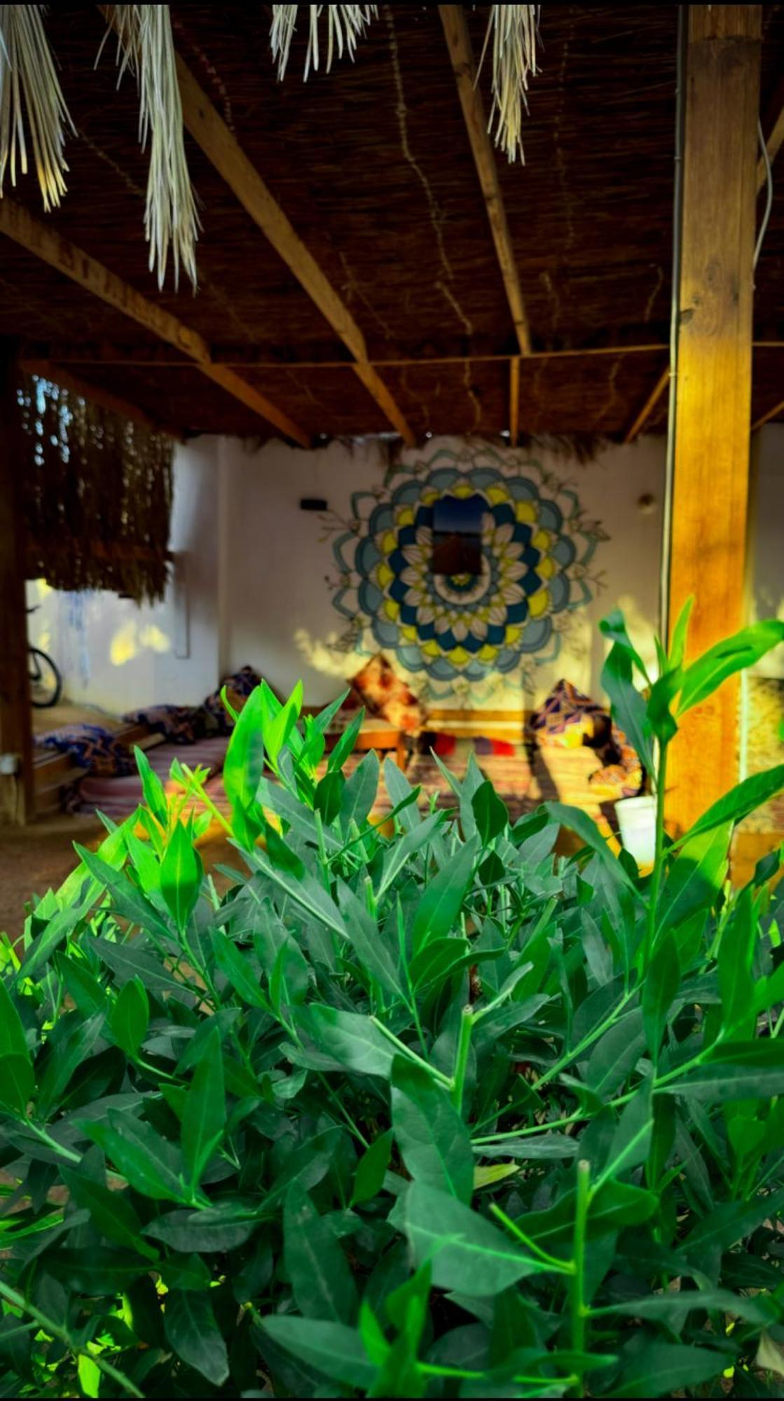 Hotel Miramar Camp Dahab Zewnętrze zdjęcie