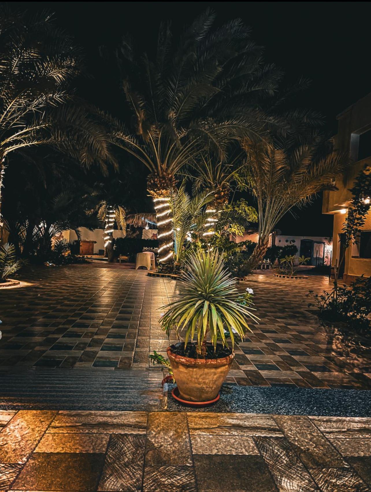 Hotel Miramar Camp Dahab Zewnętrze zdjęcie