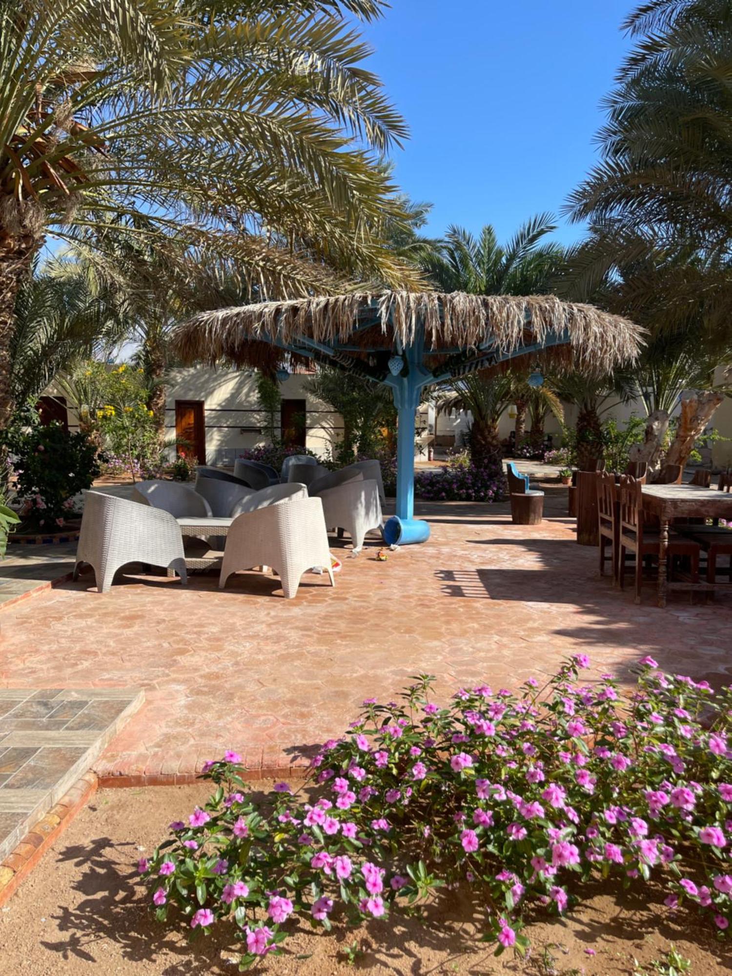 Hotel Miramar Camp Dahab Zewnętrze zdjęcie
